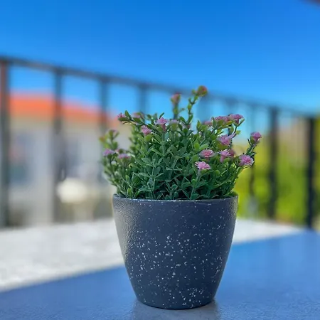 Apartmán Baltischer Hof 39 Boltenhagen (Ostseebad)