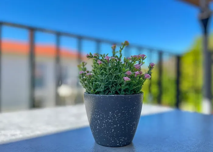 דירה Baltischer Hof 39 בולטנהאגן